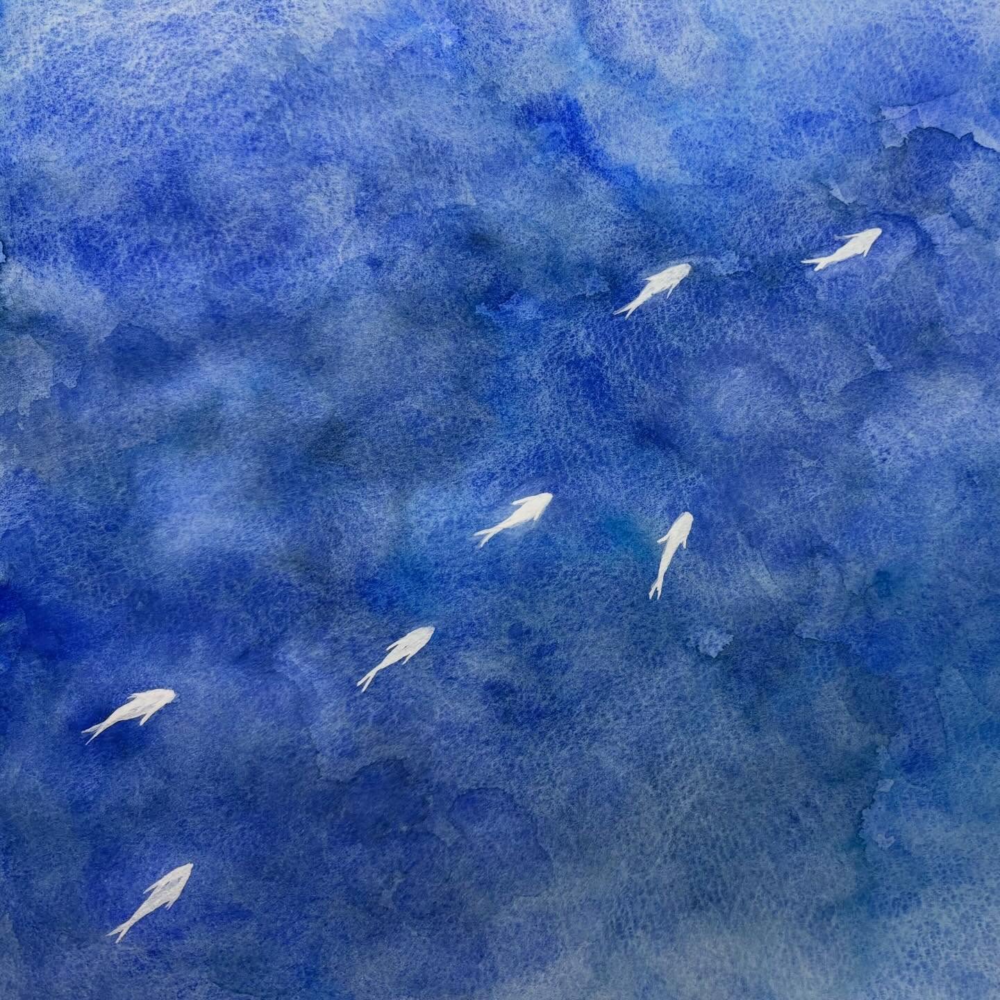 Fish swimming toward the light in blue.

#ziugallery #ziu #pocketnobeedama
#liberation #hope